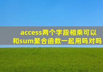 access两个字段相乘可以和sum聚合函数一起用吗对吗