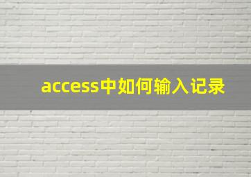 access中如何输入记录