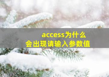 access为什么会出现请输入参数值