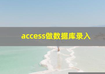 access做数据库录入