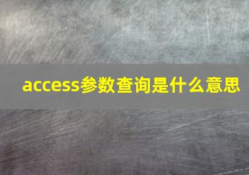 access参数查询是什么意思