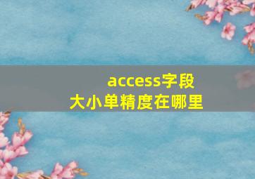 access字段大小单精度在哪里