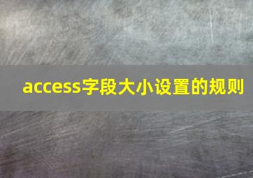 access字段大小设置的规则