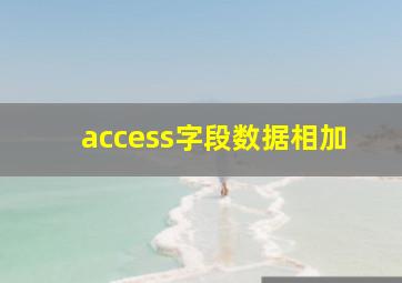 access字段数据相加