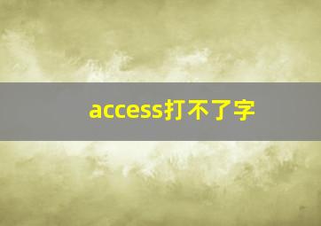 access打不了字