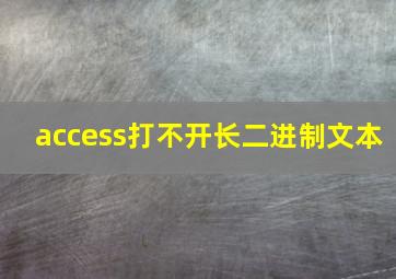 access打不开长二进制文本