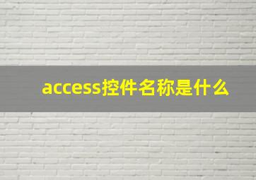 access控件名称是什么