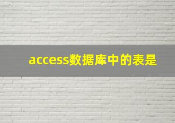 access数据库中的表是