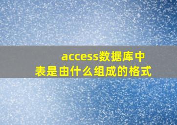 access数据库中表是由什么组成的格式