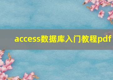 access数据库入门教程pdf