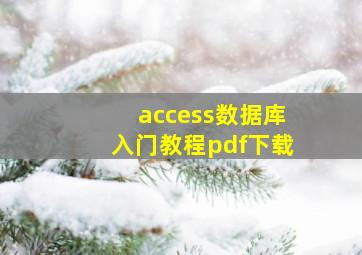 access数据库入门教程pdf下载