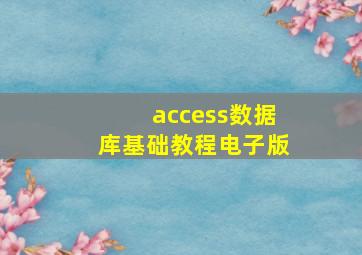 access数据库基础教程电子版