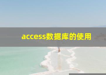 access数据库的使用