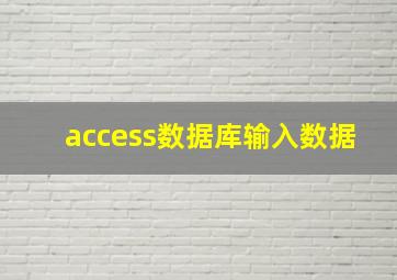 access数据库输入数据