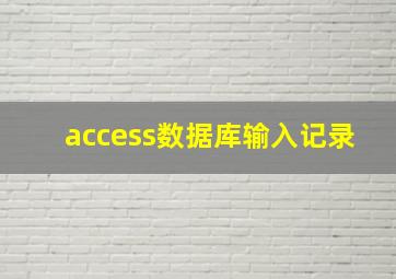 access数据库输入记录