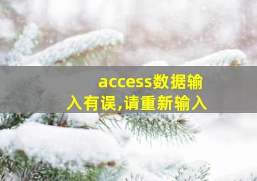 access数据输入有误,请重新输入