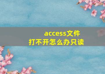 access文件打不开怎么办只读