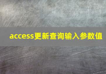 access更新查询输入参数值