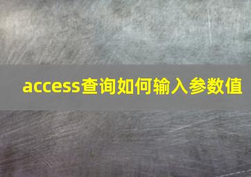 access查询如何输入参数值