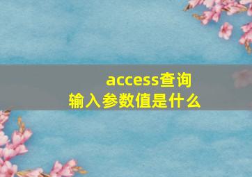 access查询输入参数值是什么