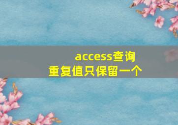 access查询重复值只保留一个