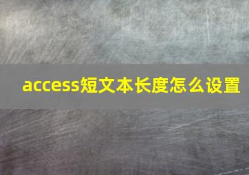 access短文本长度怎么设置