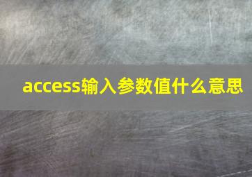 access输入参数值什么意思