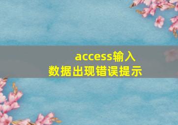 access输入数据出现错误提示