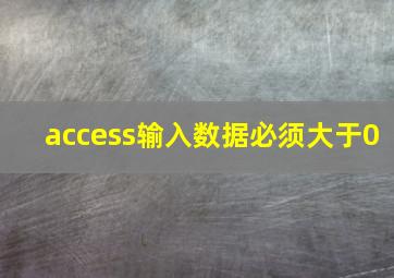 access输入数据必须大于0