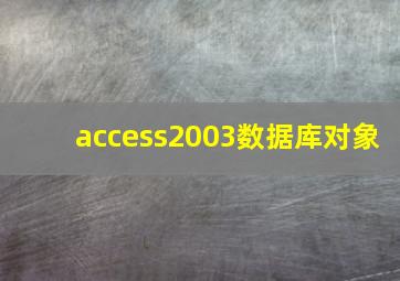 access2003数据库对象