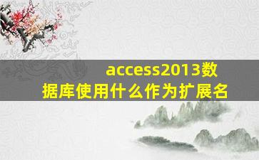 access2013数据库使用什么作为扩展名