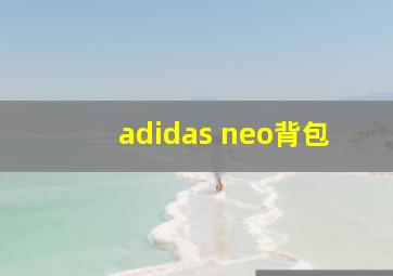 adidas neo背包