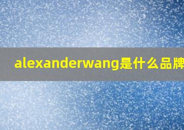 alexanderwang是什么品牌的包