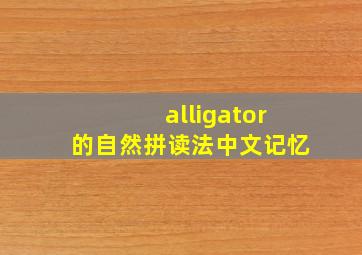 alligator的自然拼读法中文记忆