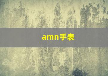 amn手表