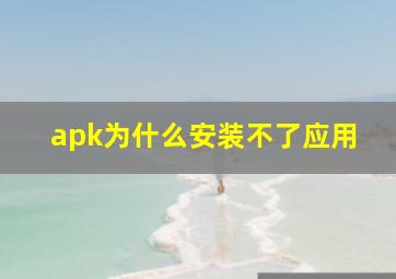 apk为什么安装不了应用