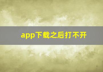 app下载之后打不开