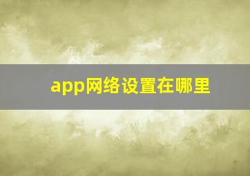 app网络设置在哪里