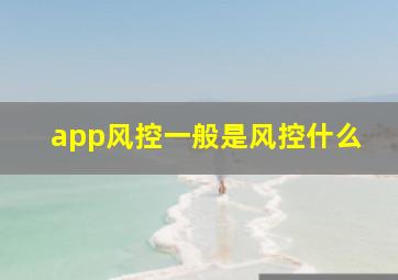 app风控一般是风控什么