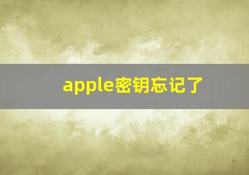 apple密钥忘记了