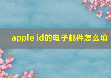 apple id的电子邮件怎么填