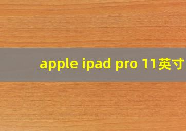 apple ipad pro 11英寸