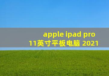 apple ipad pro 11英寸平板电脑 2021