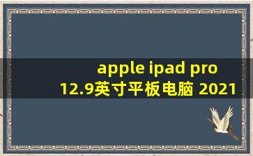 apple ipad pro 12.9英寸平板电脑 2021年新款