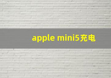 apple mini5充电