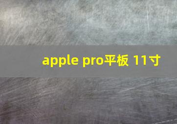 apple pro平板 11寸