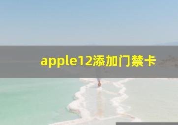 apple12添加门禁卡