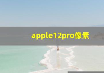 apple12pro像素