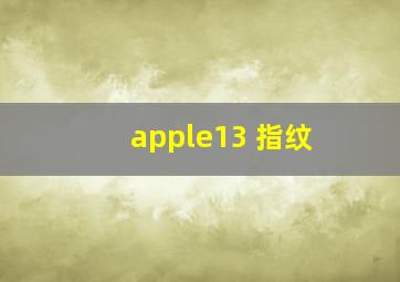 apple13 指纹