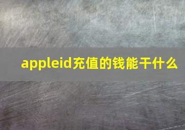 appleid充值的钱能干什么